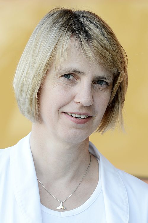Ansprechpartner